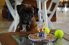  - 18 mai 2011 - Alf a 6 ans !
