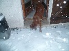  - Guysbo découvre la neige